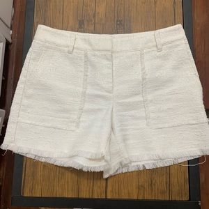 Ann Taylor Shorts